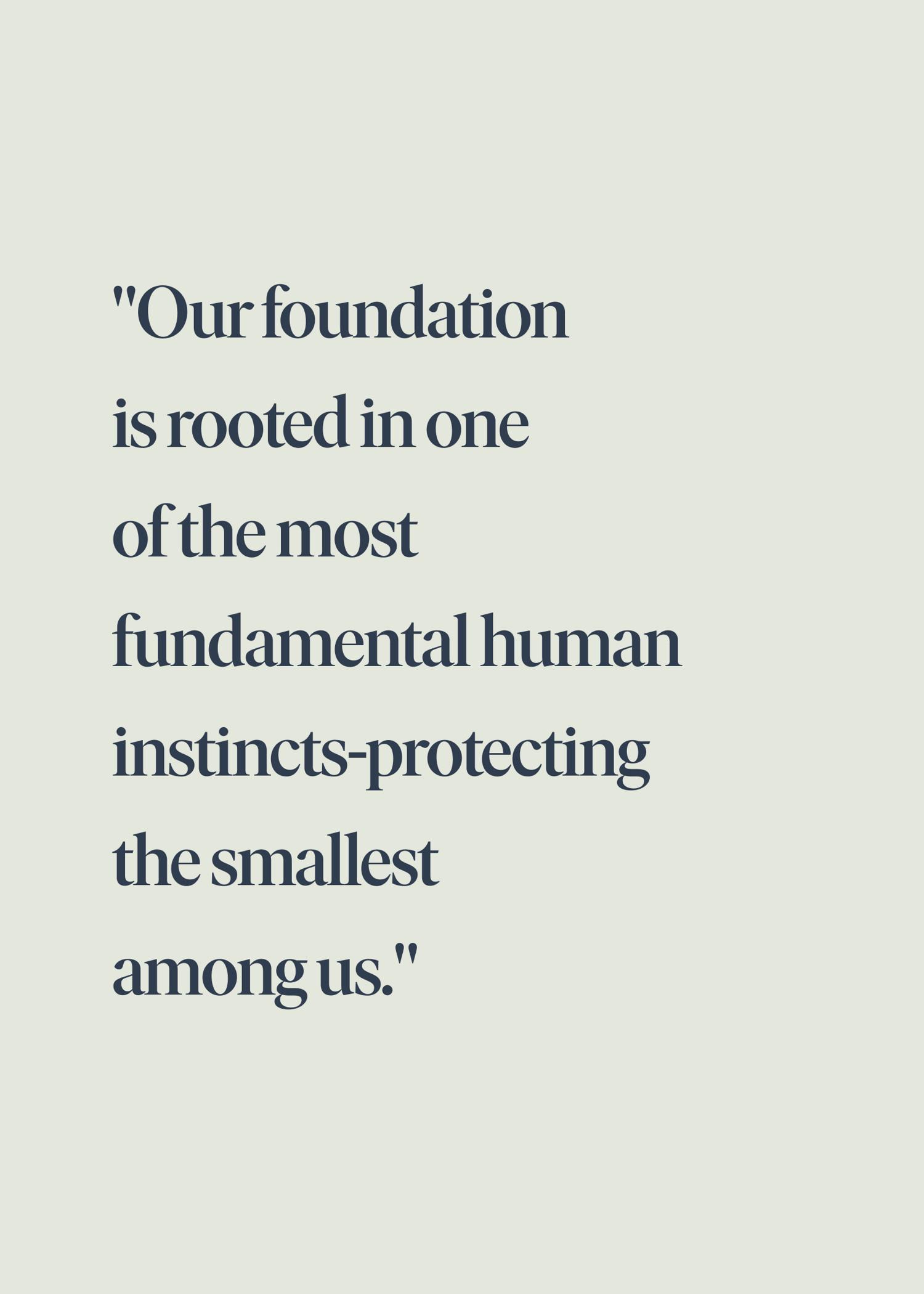 Quote on a light background: "Our foundation is rooted in one of the most fundamental human instincts—protecting the smallest among us."